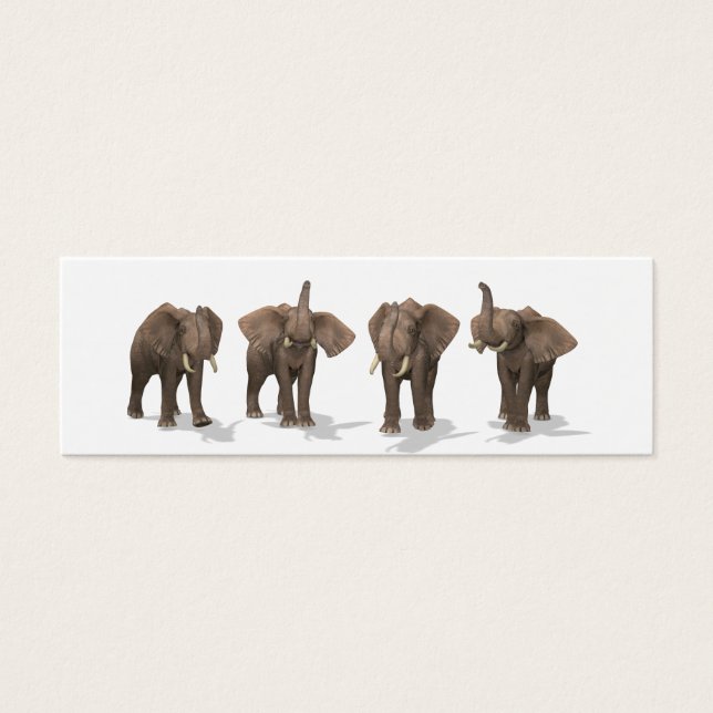 Cartes De Visite Quartet des éléphants (Devant)