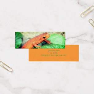 Cartes De Visite Red Eft Salamander Nature Mini Signet