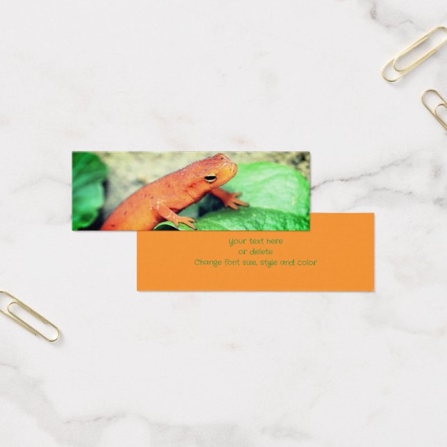 Cartes De Visite Red Eft Salamander Nature Mini Signet (Bureau)