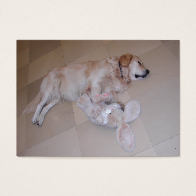Cartes De Visite Retriever dormant mignon avec lapin de jouet (Devant)