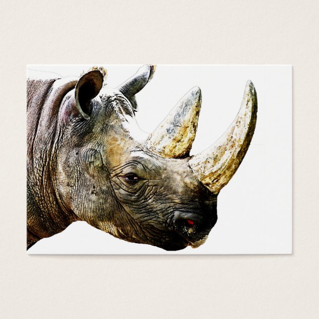 Cartes De Visite Rhino Head, Arrière - plan blanc (Devant)