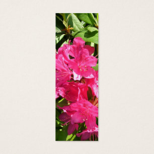 Cartes De Visite rhododendron rose et iris bleu