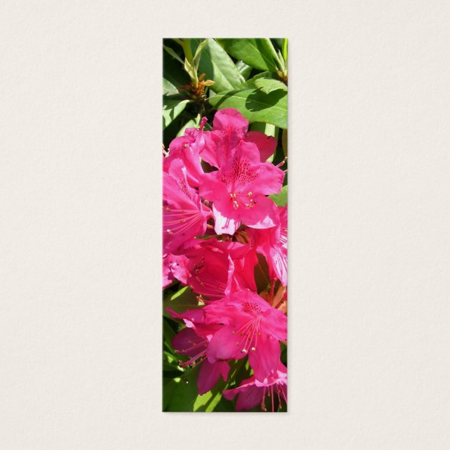 Cartes De Visite rhododendron rose et iris bleu (Devant)
