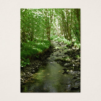 Cartes De Visite Rivière traversant les bois.