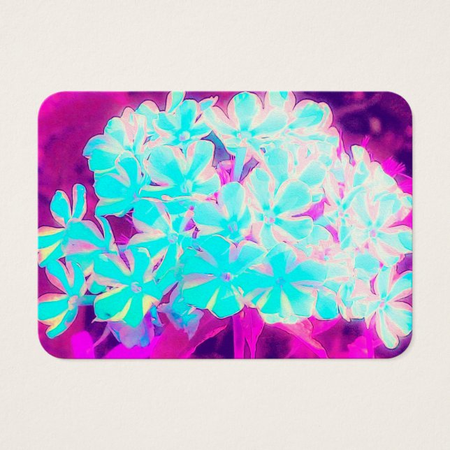 Cartes De Visite Robin's Oeuf Blue Peppermenthe Twist Phlox Flowers (Devant)