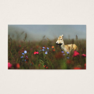 Cartes De Visite Roe dans un pré Signets