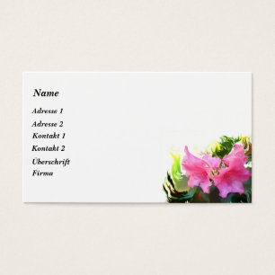 Cartes De Visite Rosa Azalee