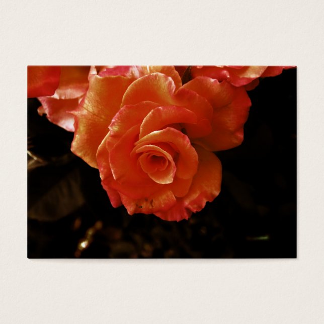 Cartes De Visite rose (Devant)