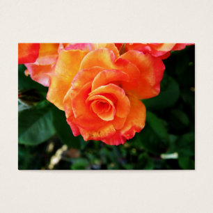 Cartes De Visite rose