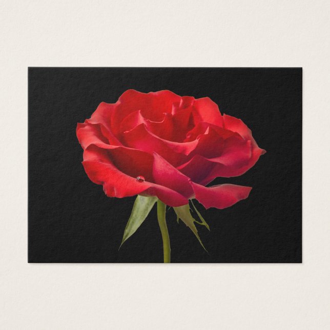 Cartes De Visite Rose rouge avec Dew Drop sur Arrière - plan noir p (Devant)