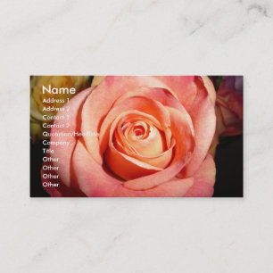 Cartes de visite roses