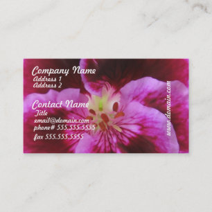 Cartes de visite roses de pensée