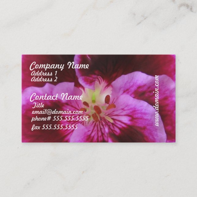 Cartes de visite roses de pensée (Devant)