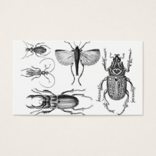 Cartes De Visite Scarabées et insectes
