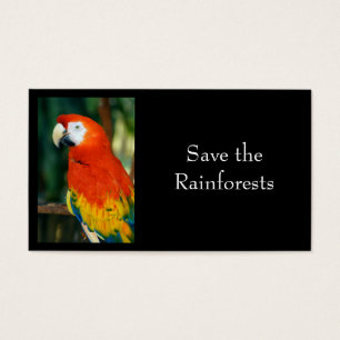 Cartes De Visite Scarlet Macaw