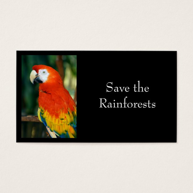 Cartes De Visite Scarlet Macaw (Devant)