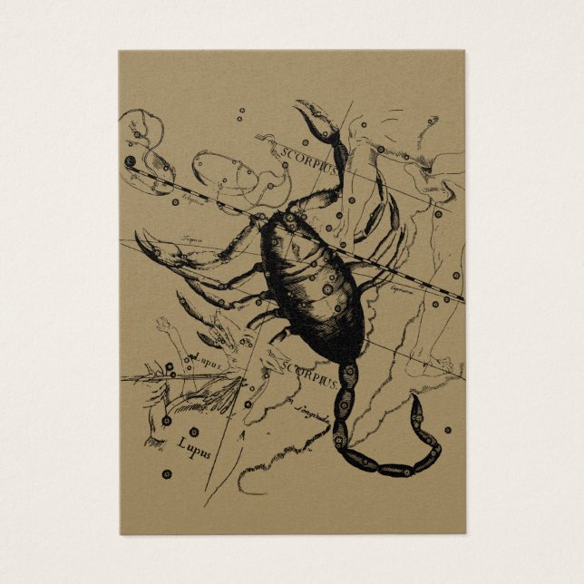 Cartes De Visite Scorpio Constellation Hevelius 1690 Décor (Devant)