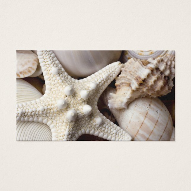 Cartes De Visite Sea Shell Starfish Arrière - plan - Beach Shells (Devant)