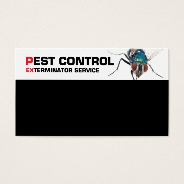Cartes De Visite Service de lutte antiparasitaire (Devant)