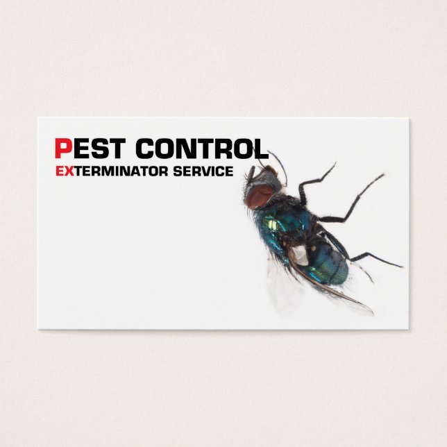 Cartes De Visite Service de lutte antiparasitaire (Devant)