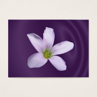 Cartes De Visite Shamrock pourpre ~ ATC