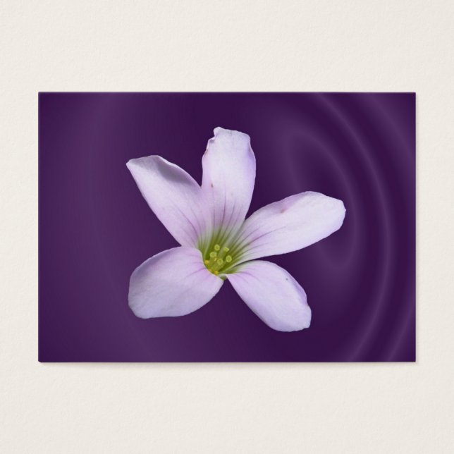 Cartes De Visite Shamrock pourpre ~ ATC (Devant)