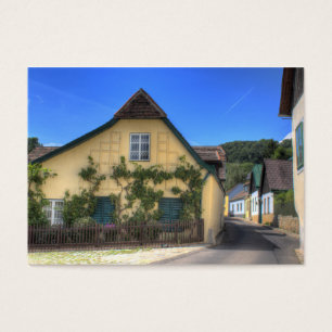 Cartes De Visite Sievering Vienne Autriche