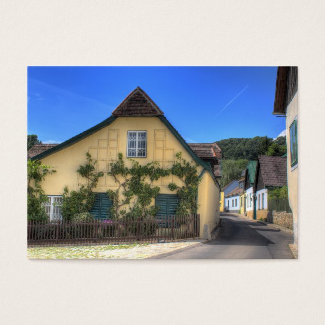 Cartes De Visite Sievering Vienne Autriche (Devant)