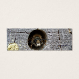 Cartes De Visite signet abeille occupé