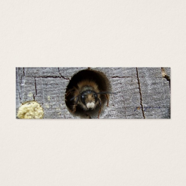 Cartes De Visite signet abeille occupé (Devant)