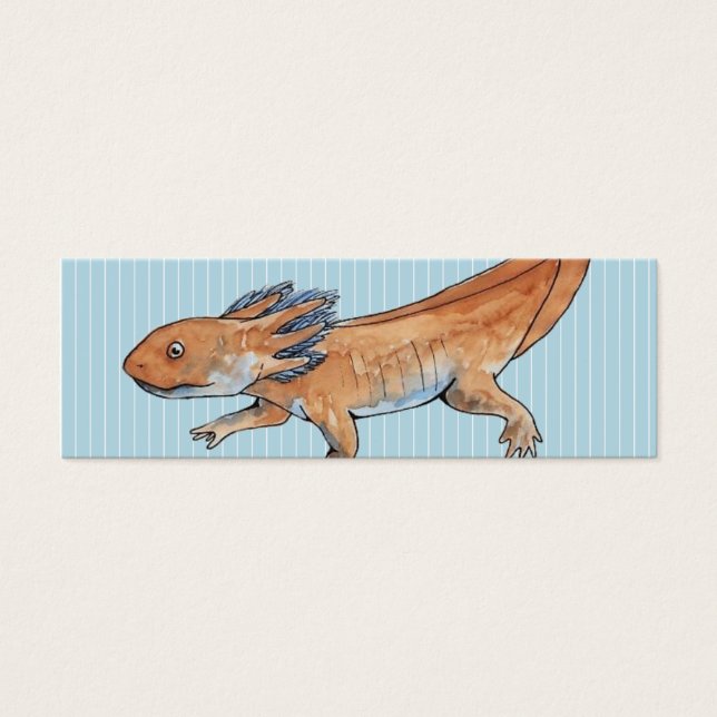 Cartes De Visite Signet Axolotl (Devant)