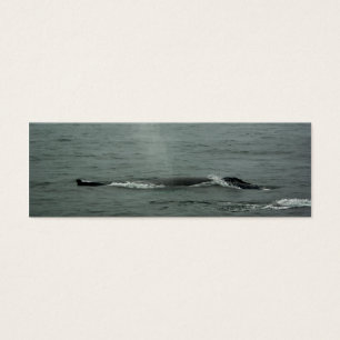 Cartes De Visite Signet de baleines à bosse