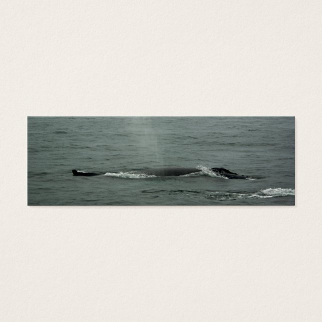 Cartes De Visite Signet de baleines à bosse (Devant)