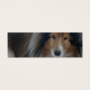 Cartes De Visite Signet de chien de berger de Shetland