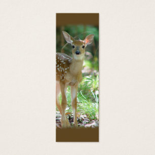 Cartes De Visite Signet de faon de cerf de Virginie mini/