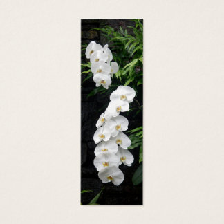 Cartes De Visite Signet de fleurs tropicales