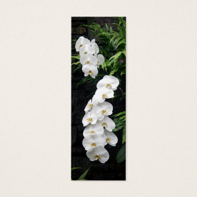 Cartes De Visite Signet de fleurs tropicales (Devant)