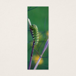 Cartes De Visite Signet de la Science de chat de machaon