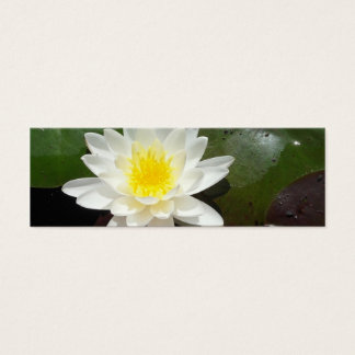 Cartes De Visite Signet de Lys d'eau
