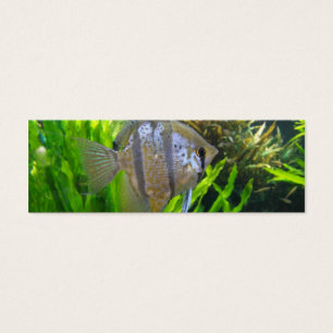 Cartes De Visite Signet de poisson ange