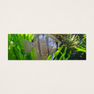Cartes De Visite Signet de poisson ange