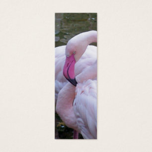 Cartes De Visite Signet de rose choquant