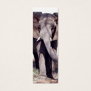 Cartes De Visite Signet d'éléphant