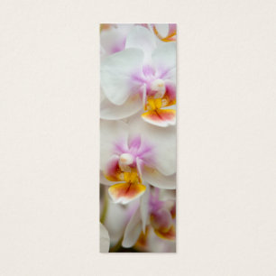 Cartes De Visite Signet d'orchidée