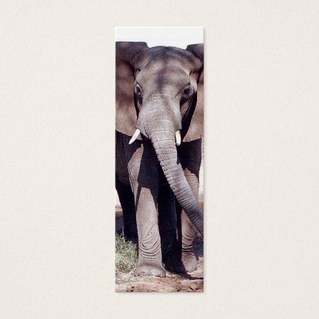 Cartes De Visite Signet éléphant (Devant)