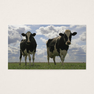 Cartes De Visite Signet frison de deux vaches