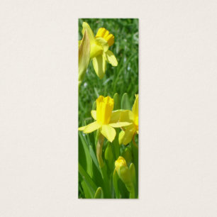 Cartes De Visite Signet jaune de jonquilles de renoncule