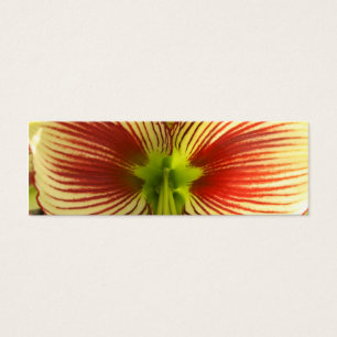 Cartes De Visite Signet papillon Amaryllis