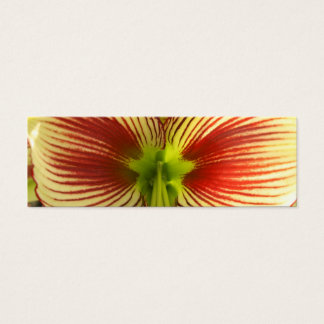 Cartes De Visite Signet papillon Amaryllis