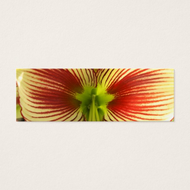 Cartes De Visite Signet papillon Amaryllis (Devant)